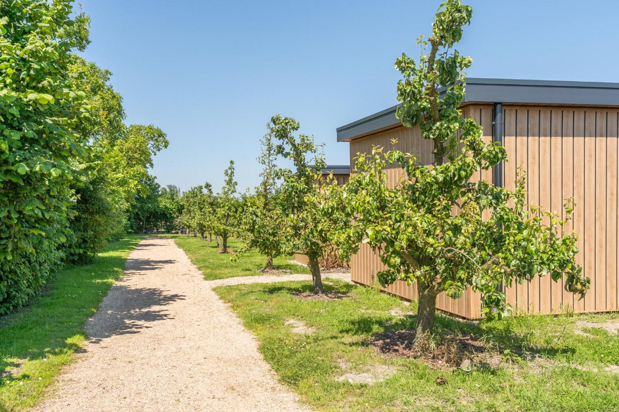 Luxe 4 Pers Op Minicamping In Chalet